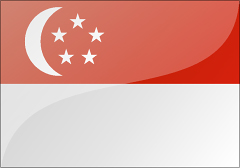 新加坡商务签证