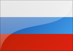 俄罗斯旅游30天单次签证